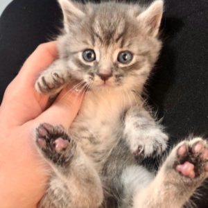 A Propos De Nous Empreinte Souvenir